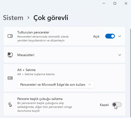 Windows 11'de Aero Shake Nasıl Devre Dışı Bırakılır