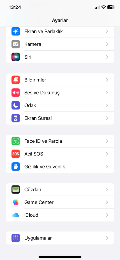 Safaride IP adresi gizleme