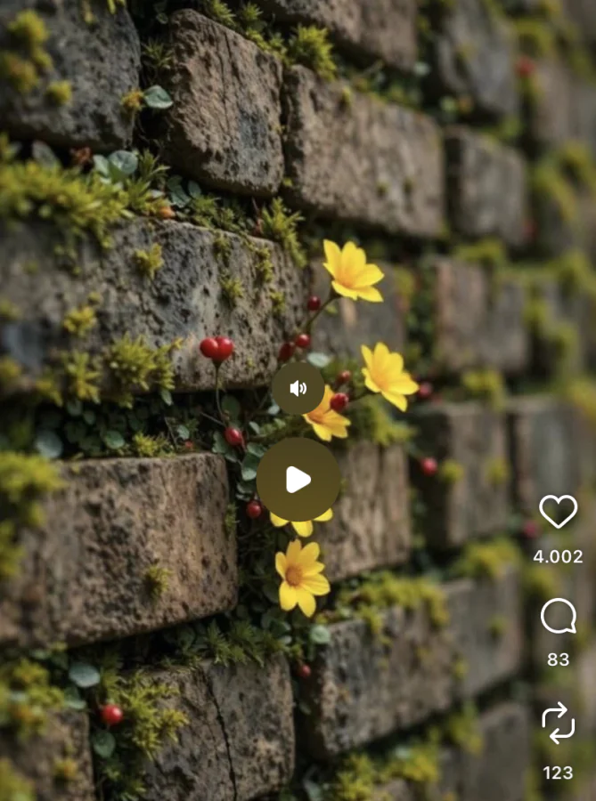 Instagram tek dokunma ile video durdurma