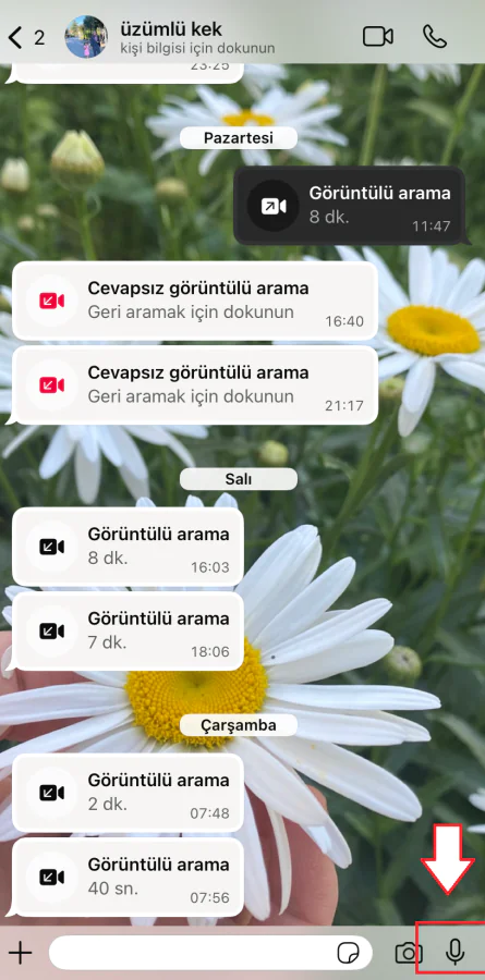 WhatsApp tek seferlik dinlenebilen sesli mesaj