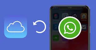 WhatsApp yedeklemesi
