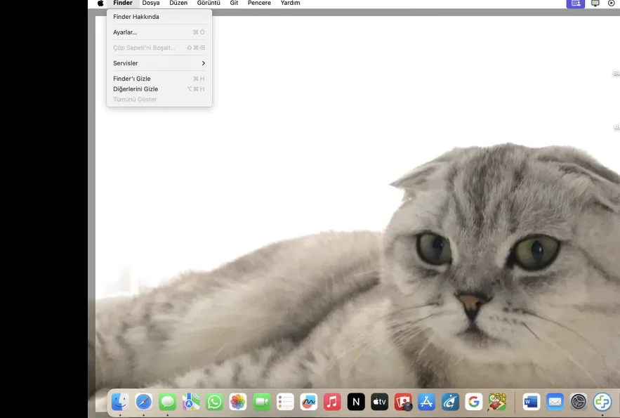 Launchpadi dock ekleme