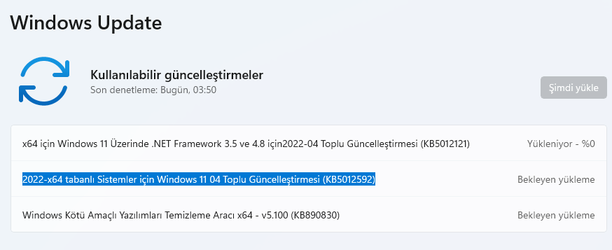 Windows 11 Nisan 2022 Güncellemesi 22000.613 (KB5012592)