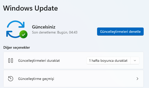 Windows 11 Yüksek CPU Kullanımı Sorunu Çözümü