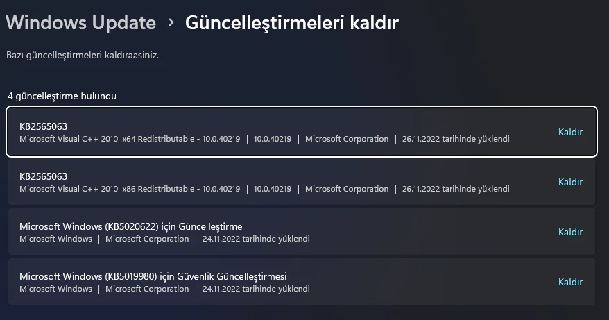 Güncelleme Sonrası Yazıcı Yazdırmıyor
