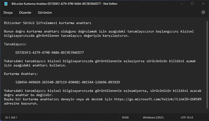 Bilgisayarda BitLocker Kurtarma Anahtarı Nasıl Bulunur