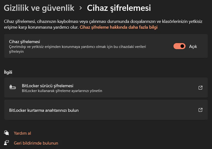 Cihaz Şifreleme ile BitLocker Arasındaki Fark Nedir