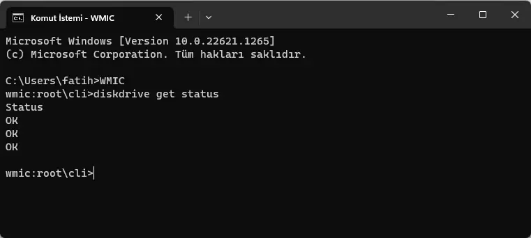 Windows 11'de SSD Sağlığı Öğrenme için Komut İstemini Kullanma