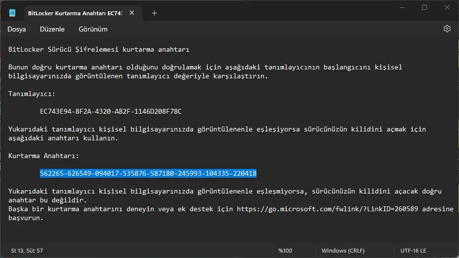 Şifreli Sürücüden Dosya Kurtarmak