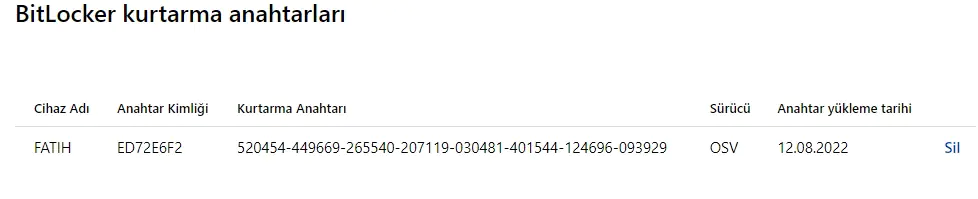 Şifreli Sürücüden Dosya Kurtarmak