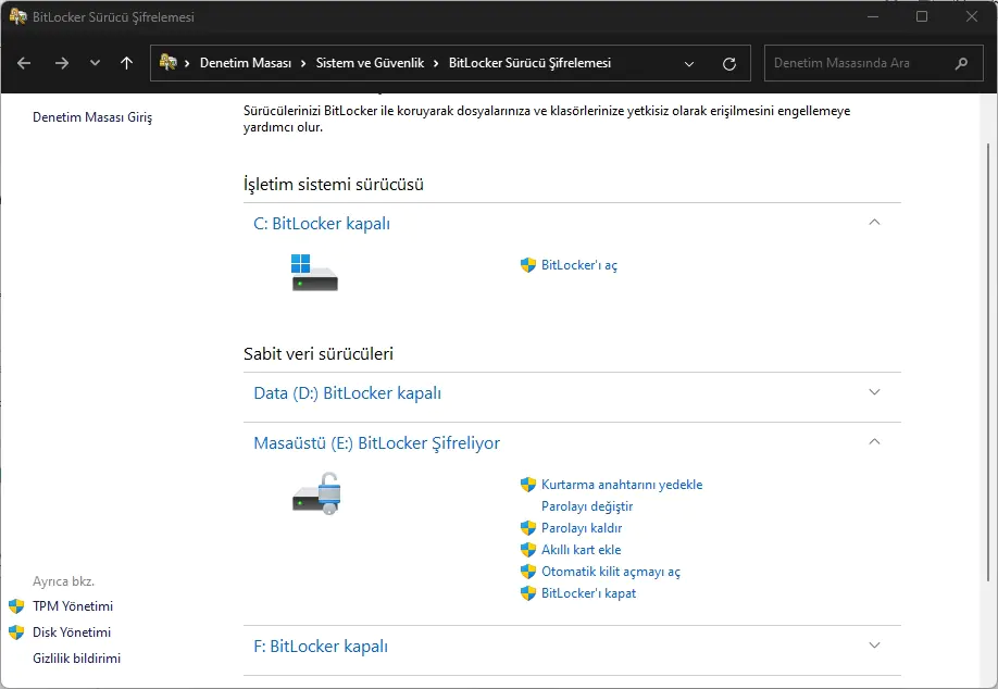 Şifreli Sürücüden Dosya Kurtarmak