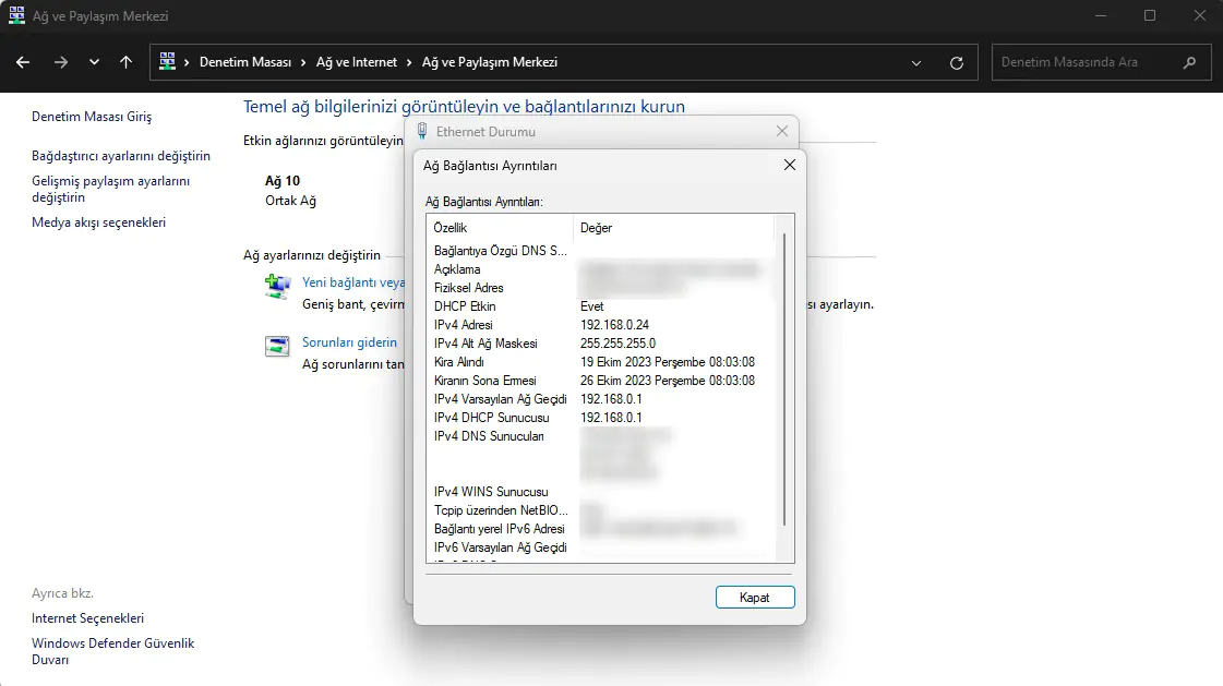Windows 11 Ağ Bağlantısı Ayrıntıları