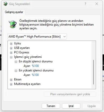 Düşük FPS Sorunu, Yüksek GPU Kulanımı