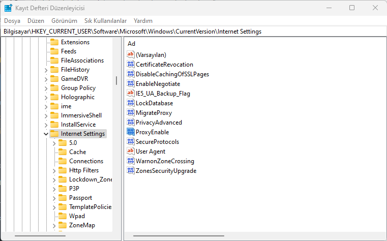 ERR_PROXY_CONNECTION_FAILED Hatası ve Çözümü