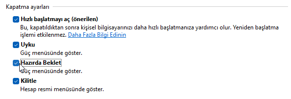 Windows 11 Hazırda Bekletme Etkinleştirme