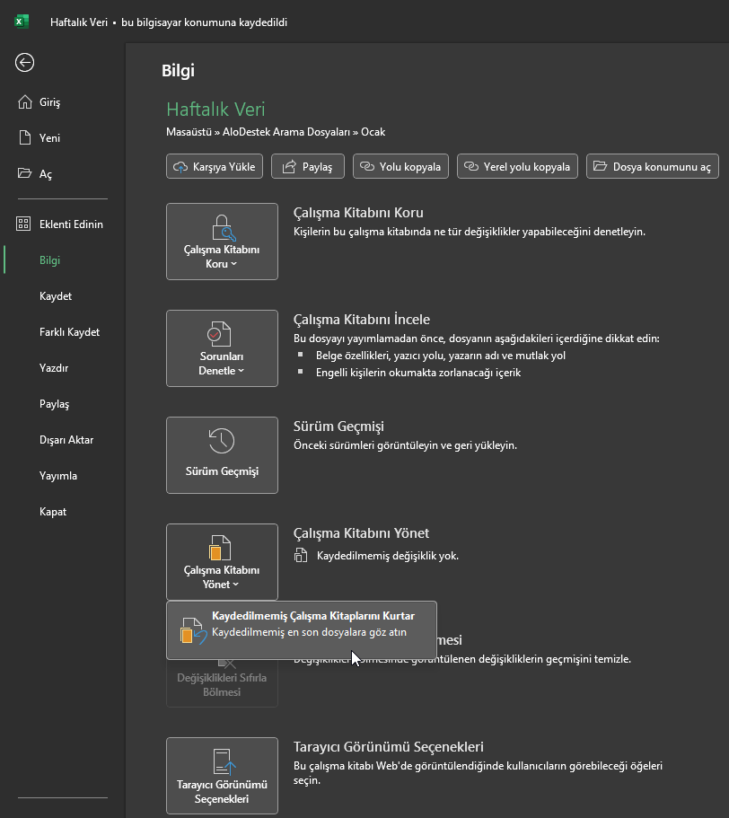 Excel Otomatik Kurtarma Çalışmıyor