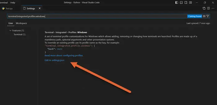 VS Code Terminal İşlemi Başlatılamıyor: Sorunlar ve Çözümler