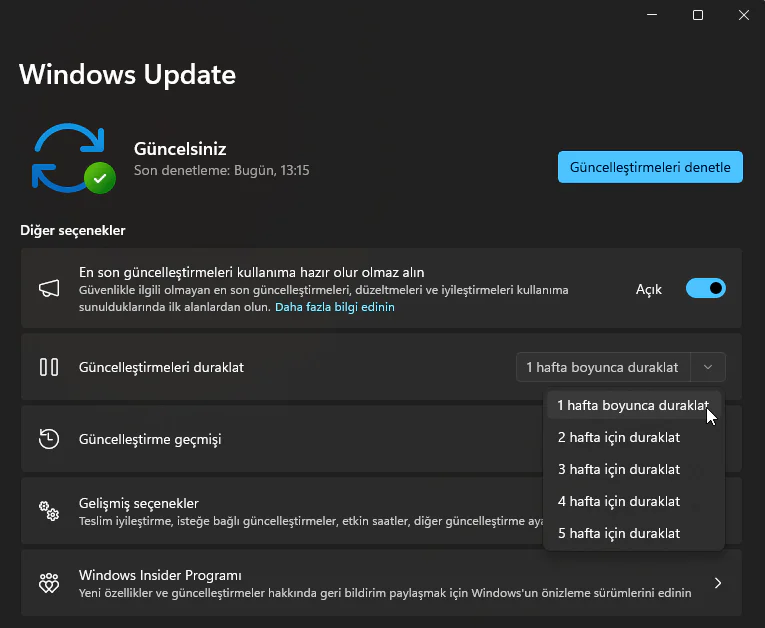 Otomatik Güncellemeleri Kapatma