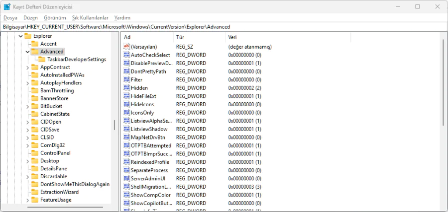Kayıt Defteri Düzenleyicisi