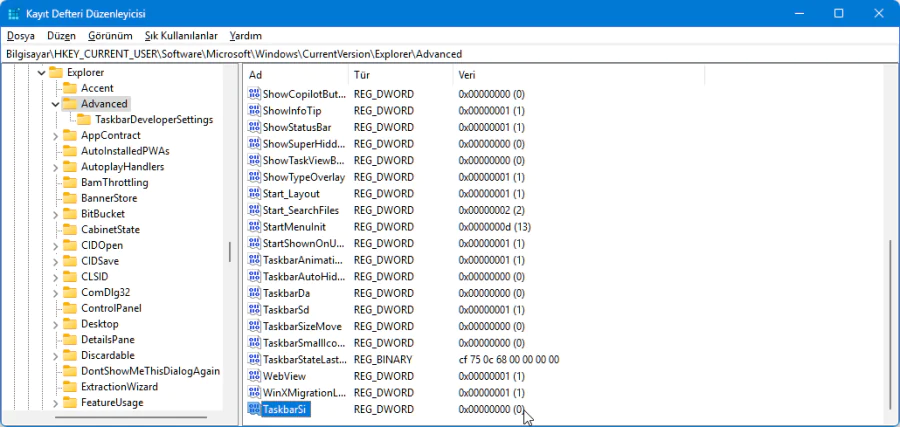 Kayıt Defteri TaskbarSi