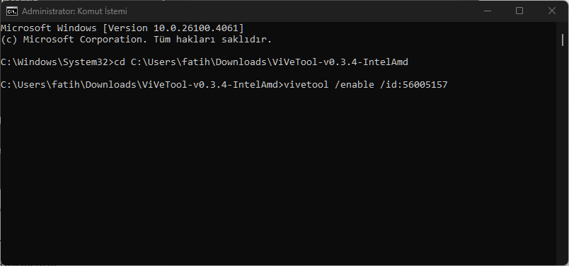 Windows 11 Gelişmiş Ayarlar Nasıl Etkinleştirilir