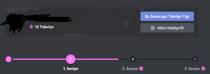 Discord sunucu takviyesi