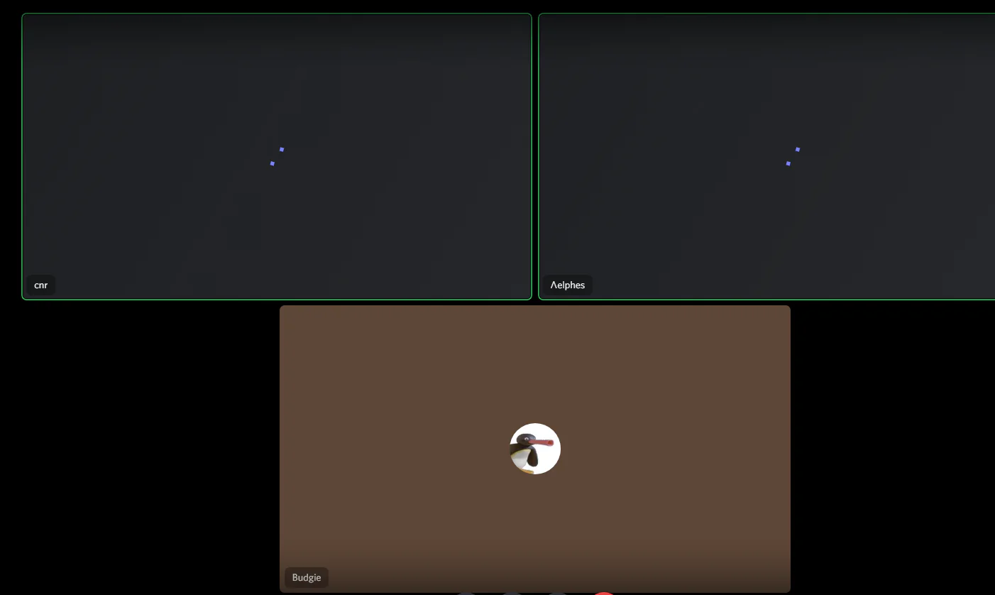 Discord'da Kamera Kullanım Alanları Nelerdir ?