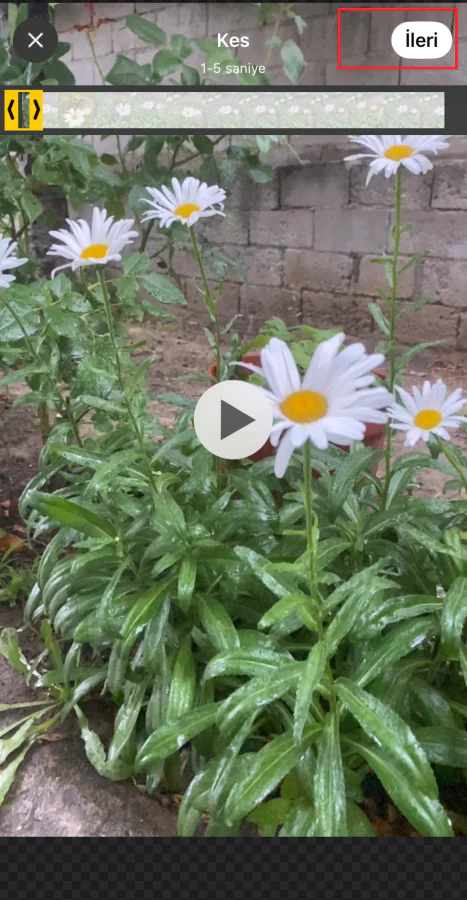 WhatsAppvideolu Sticker