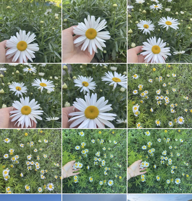 Instagram Izgara Düzenleme Nasıl Yapılır ?