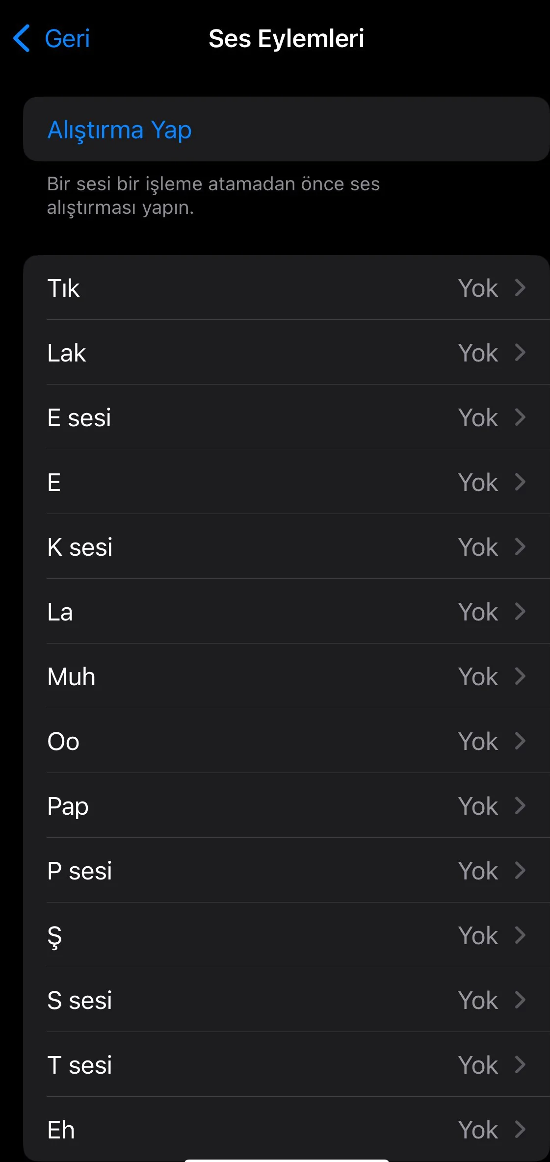 İphone telefonda ses eylemi ekleme özelliği nasıl kullanılır ?