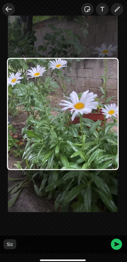 WhatsApp üzerinde videolu Sticker oluşturma