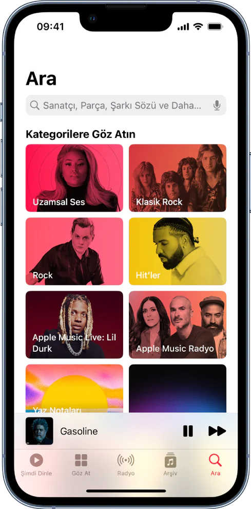 Apple Music Yönetme