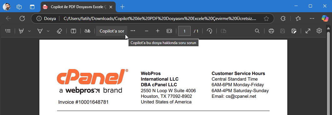 Copilot ile PDF Dosyasını Excele Çevirme