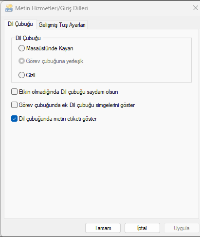 dil çubuğu bölümündeki seçeneklerden Gizli seçeneğini işaretleyin