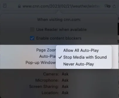 Safari de Videoları Durdurmanın 2 Yolu