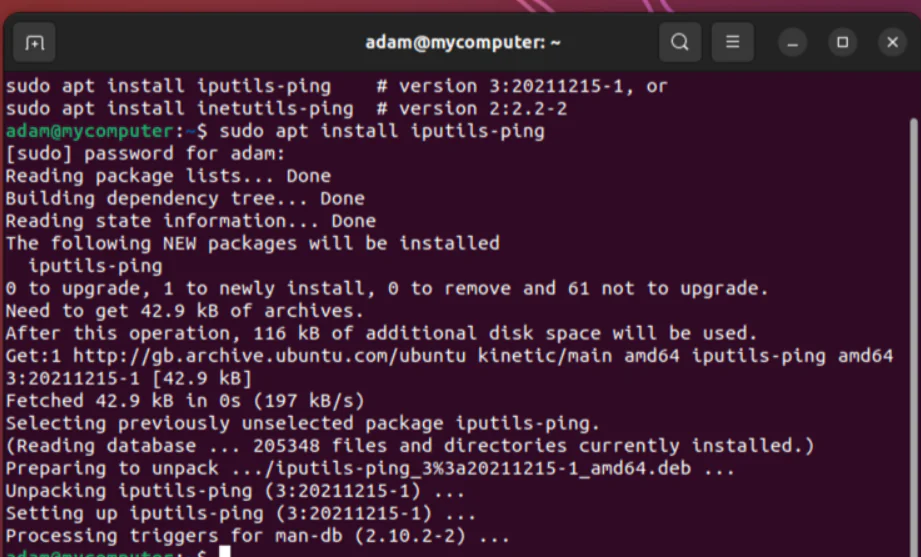 Ubuntu Ping Hatası Nedir