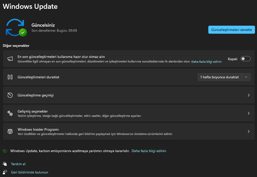 Windows 11 En İyi Güvenlik Ayarları