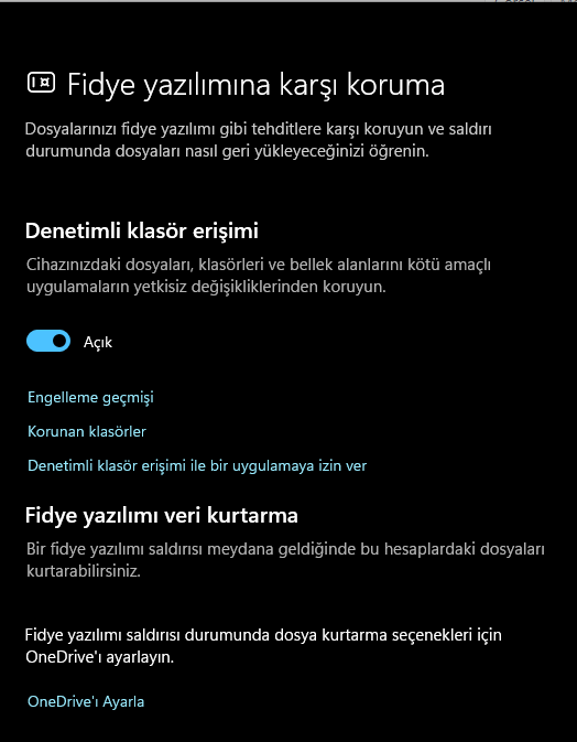 Windows 11 En İyi Güvenlik Ayarları