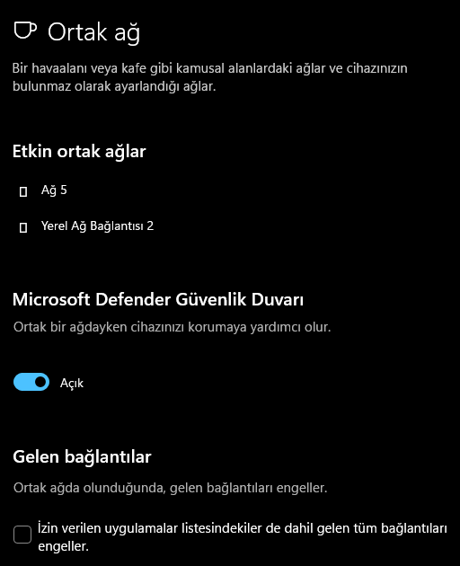 Windows 11 En İyi Güvenlik Ayarları