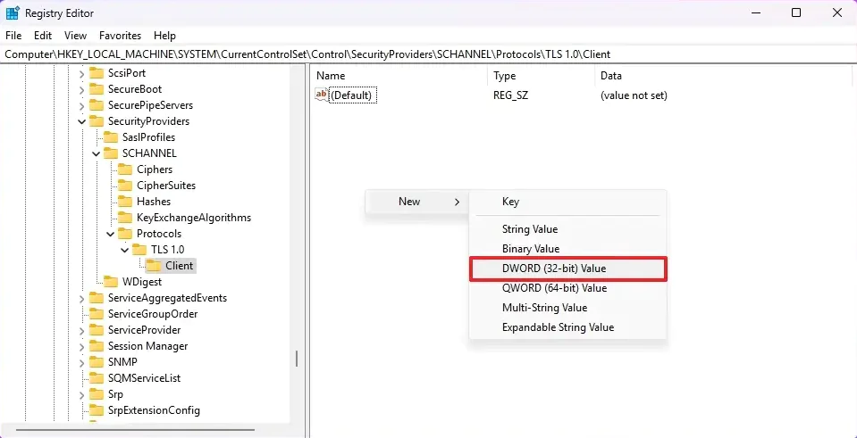 Windows 11 TLS Nasıl Etkinleştirilir