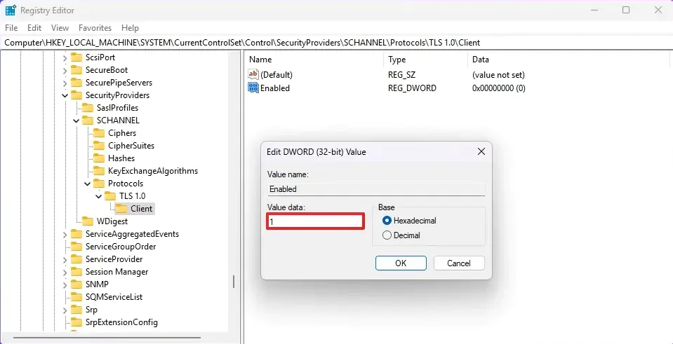 Windows 11 TLS Nasıl Etkinleştirilir