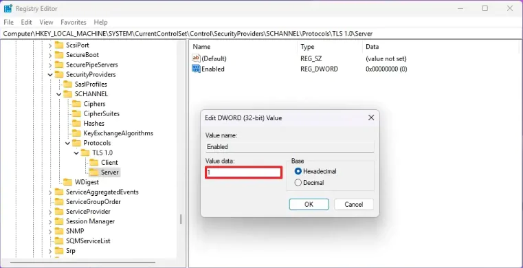 Windows 11 TLS Nasıl Etkinleştirilir