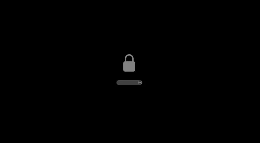 Mac'te Firmware Parolası