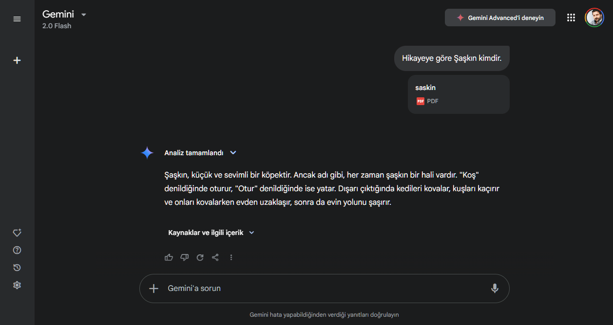 Gemini Ücretsiz Belge Yükleme Nasıl Çalışır?