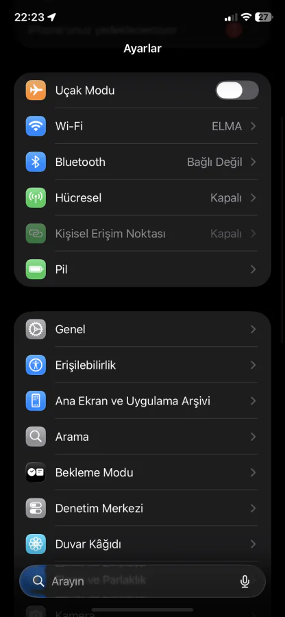 iPhone denetimli erişim