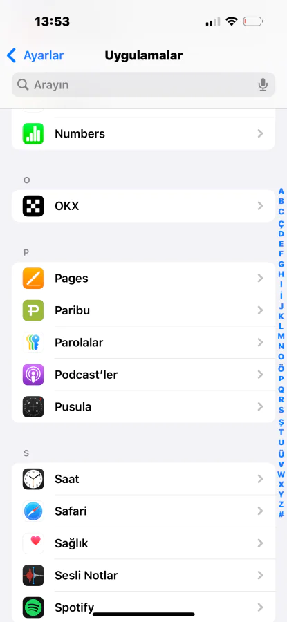 iOS'ta Safari'nin Parola Önerilerini Nasıl Durdurabilirsiniz