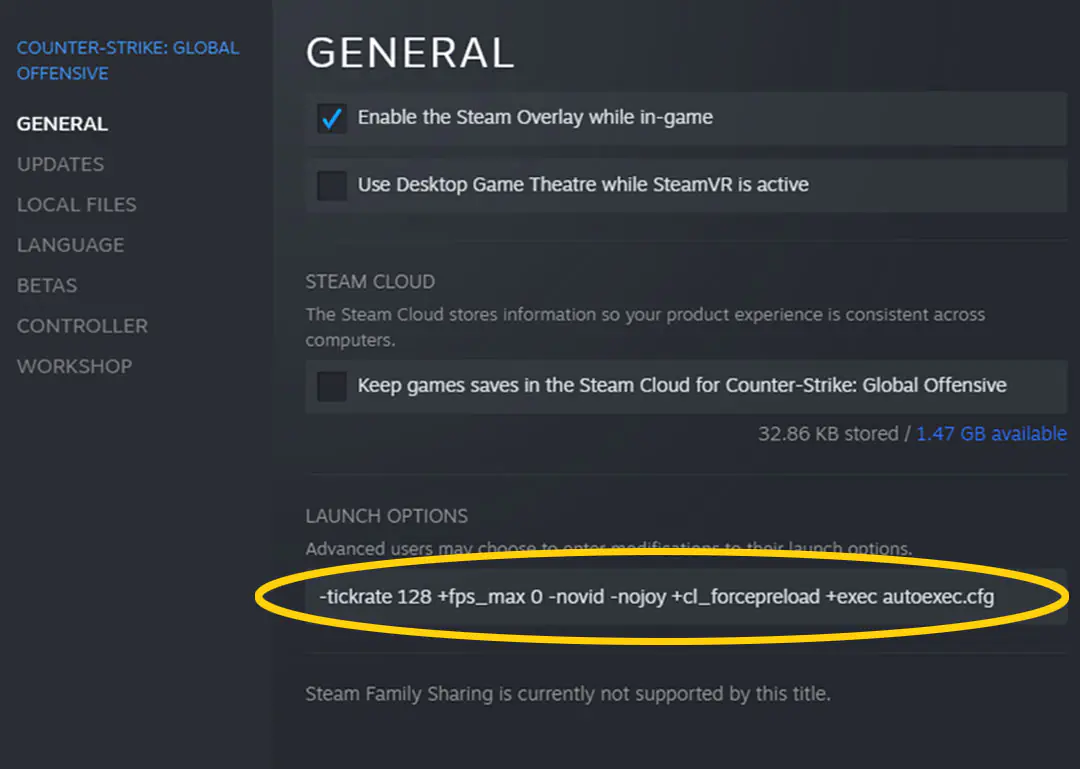CS: GO için ileri düzey FPS optimizasyon tekniklerini uygulayan bir oyuncu.