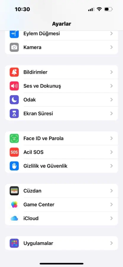 Apple Watch ta Gmail Nasıl Alınır