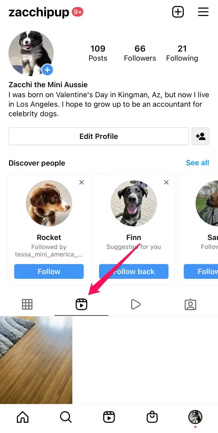 Instagram Reels Videolarını İndirme