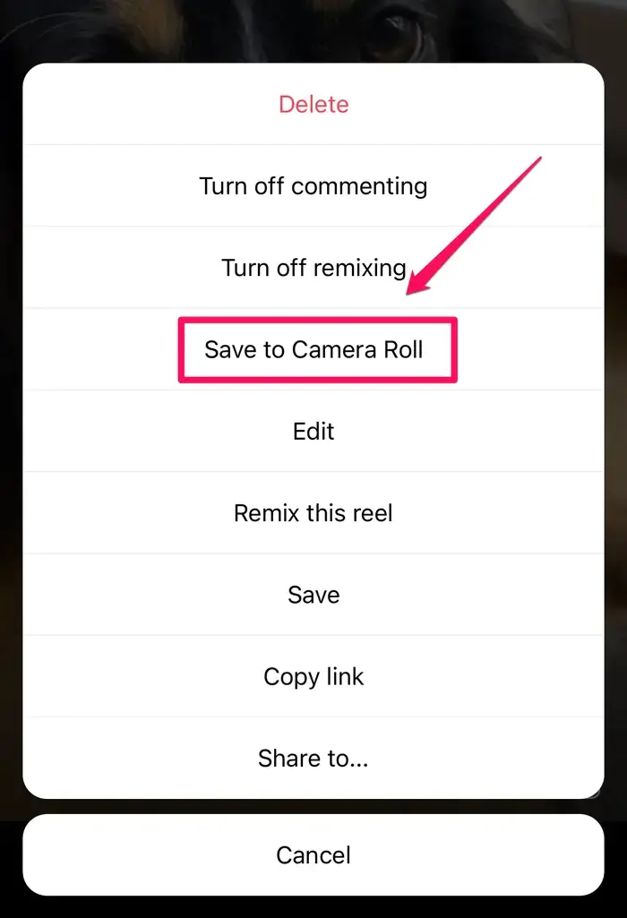 Instagram Reels Videolarını İndirme
